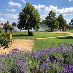 Restaurant Röbler Thor - Blick auf den Dosseteich