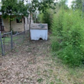 Diaz Trimming Services - Bamboo clearing pt2 - Lawn Services Near Me