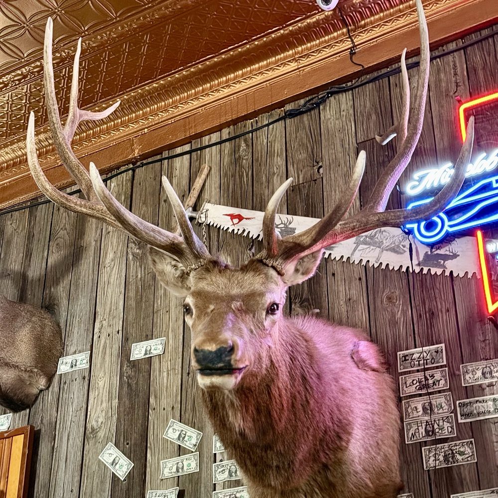 Sultana Bar - Another patron - Dive Bars Near Me - Williams, Arizona Sultana Bar - Another patron - Dive Bars Near Me - Williams, Arizona