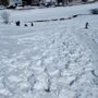 Photo of Bandt Park