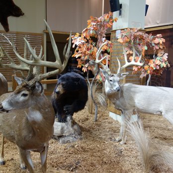 Cabela’s  - Outdoor Gear Near Me - Hoffman Estates, Illinois