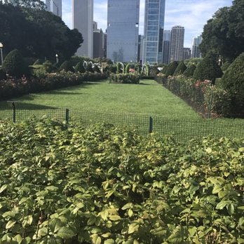 Grant Park - Gorgeous views everywhere. - Parks Near Me - Chicago, Illinois