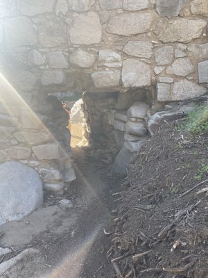 Honey Bee Canyon by null