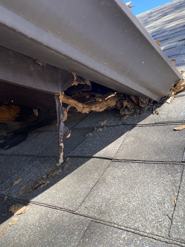 Slide of Republic Exterior