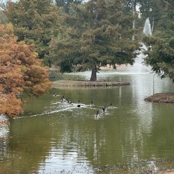 Flowood Nature Park - Pond - Parks Near Me - Flowood, Mississippi