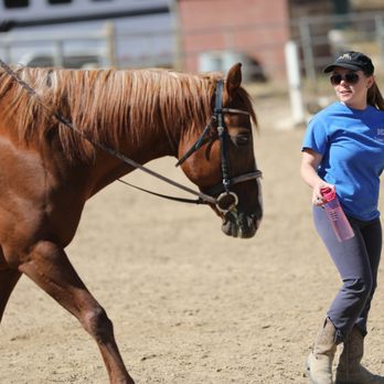 Tara Parcella Horseback Riding Instructor - Horseback Riding Near Me Tara Parcella Horseback Riding Instructor - Horseback Riding Near Me