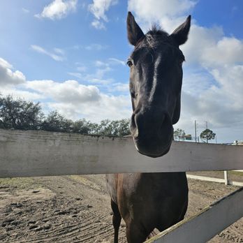 Alaska Farms - Yoga Near Me - Orlando, Florida Alaska Farms - Yoga Near Me - Orlando, Florida