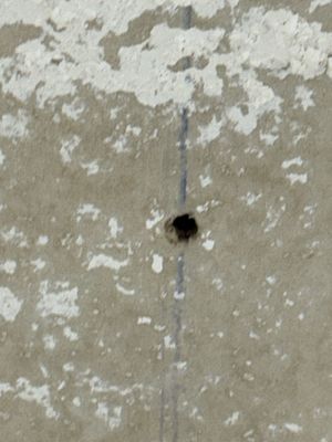 Border Inn Casino by null