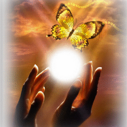 Together We Heal