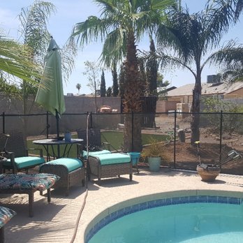 Windmill Outdoor Development - many new palms next to the pool - Landscaping Near Me