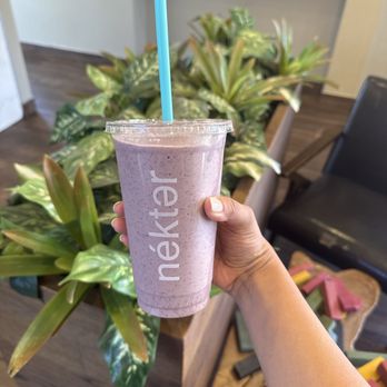 Nekter Juice Bar - Peanut butter, healthy nut with added blueberries - Juice Bars & Smoothies Near Me - Irvine, California