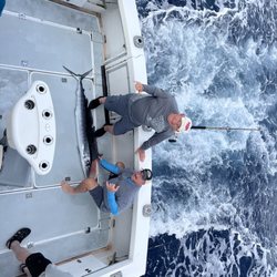 Boom Boom Sportfishing - Spear fish