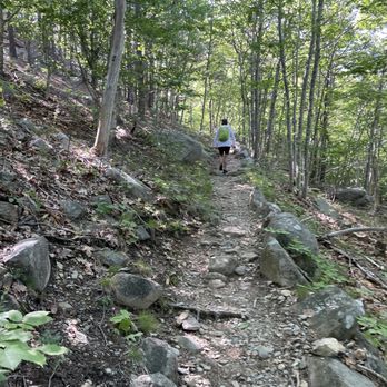 Precipice Trail - The trail - Hiking Near Me - Bar Harbor, Maine Precipice Trail - The trail - Hiking Near Me - Bar Harbor, Maine