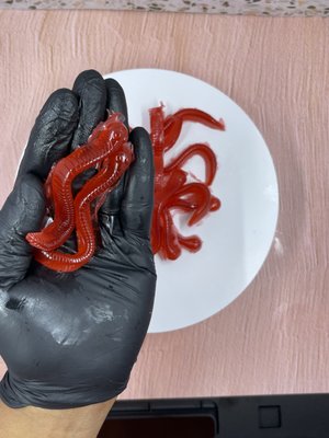 Baby Cakes Walk by null