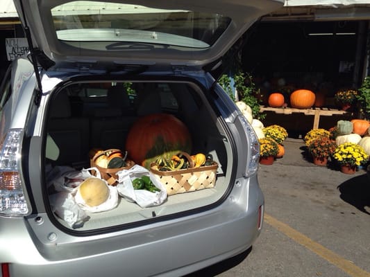 Alabama Farmers Market by null