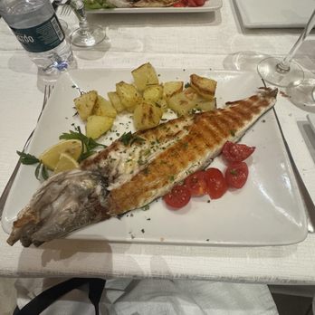 Settembrini 18 - Grilled Branzino - Italian Near Me - Milan, Michigan Settembrini 18 - Grilled Branzino - Italian Near Me - Milan, Michigan