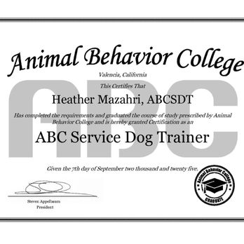 Z Dog Training Academy - ABC Service Dog Trainer - Pet Training Near Me Z Dog Training Academy - ABC Service Dog Trainer - Pet Training Near Me