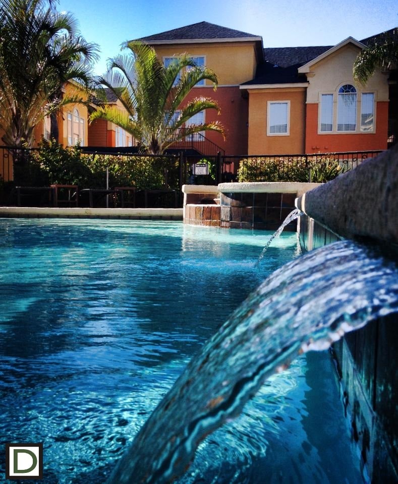 STONEWOOD APARTMENTS Updated October 2024 501 E Camellia Ave