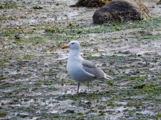 Third Lagoon Preserve