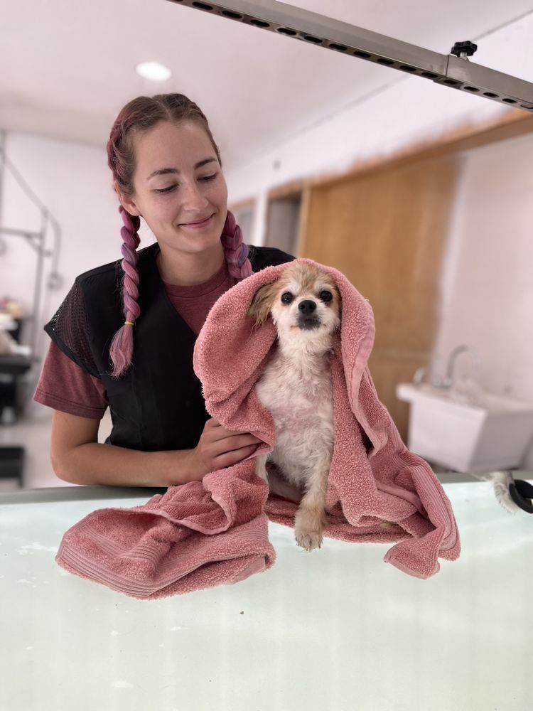 THE PRANCING POODLE Updated October 2024 11 Photos 88 S 200th E