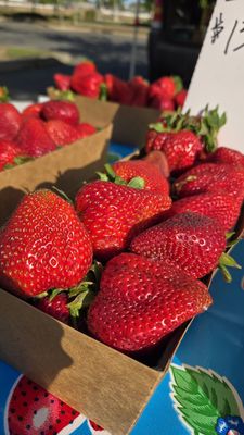 Meadowview Certified Farmers’ Market by null