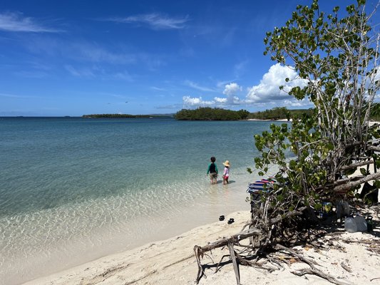 Playa La Jungla by null
