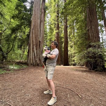 Benbow Historic Inn - Avenue of the giants. - Hotels Near Me - Garberville, California