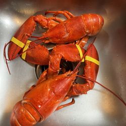 Edgewater Motel & Cottages - Fresh lobster