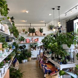 Plants and Gifts Galore! Plants and Gifts Galore!
