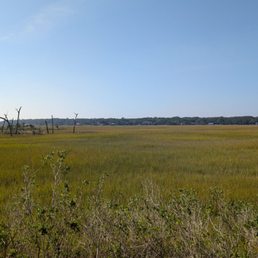 Marsh view Marsh view
