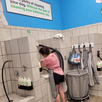 Pet Supplies Plus Allen - Self- service pet wash area. - Pet Groomers Near Me - Allen, Texas Pet Supplies Plus Allen - Self- service pet wash area. - Pet Groomers Near Me - Allen, Texas