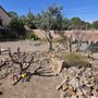 Photo of Tubac Presidio State Park