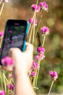 Coastal Maine Botanical Gardens by null