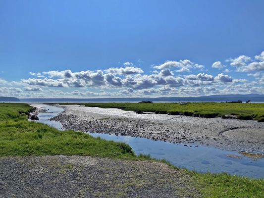 Dosewallips State Park by null