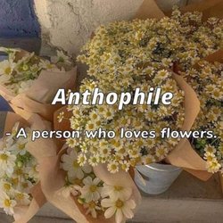 The Yellow House - YellowHouseinTXFlowers