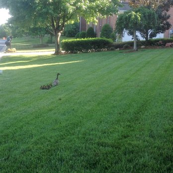 Team Turf - Matthews Landscape Company - Lawn Services Near Me - Matthews, North Carolina Team Turf - Matthews Landscape Company - Lawn Services Near Me - Matthews, North Carolina