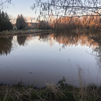 Garden City Park - Lagoon aka mosquito factory~ - Parks Near Me - Richmond, British Columbia