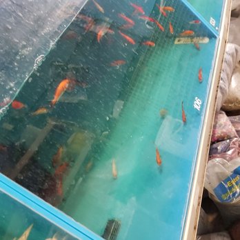 Fish Warehouse - Local Fish Stores Near Me - Westminster, California