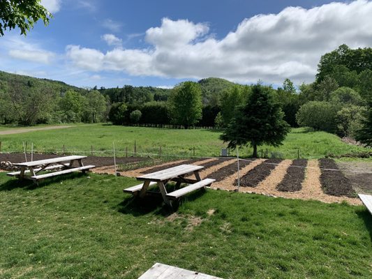 Merci la Vie by null