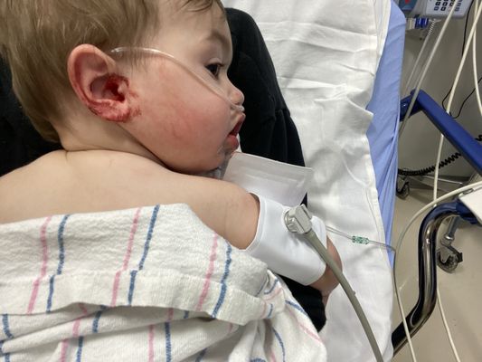 Banner Desert Medical Center by null