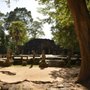 Trans Pacific Tours