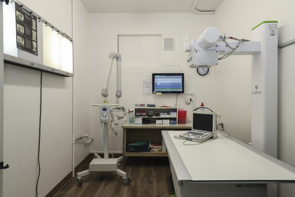 Whipple Ave Pet Hospital