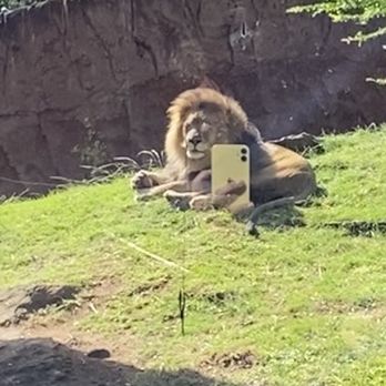 Honolulu Zoo - Zoos Near Me - Honolulu, Hawaii