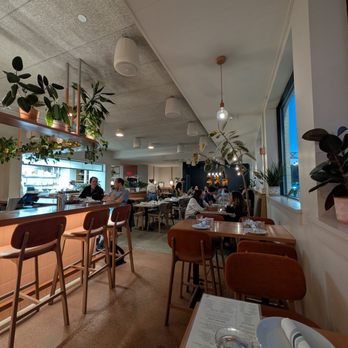 Gufo - Pizza Near Me - Cambridge, Massachusetts