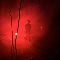 Backwoods Nightmare