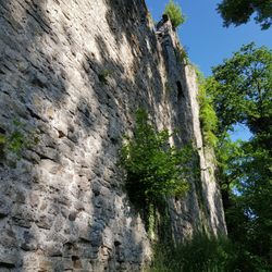 Ruine Lichteneck - Mauerreste