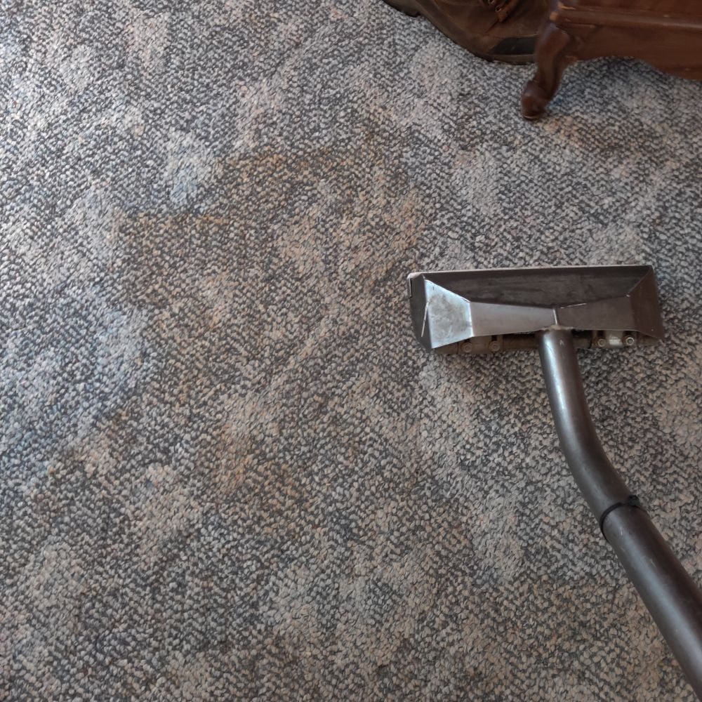 TRINITY CARPET CLEANING Updated September 2024 51 Photos & 17