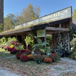 Vinland Valley Nursery