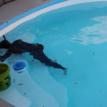 Aquaman Leak Detection - Plumbing Near Me - Pasadena, California Aquaman Leak Detection - Plumbing Near Me - Pasadena, California