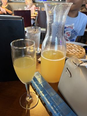 The Green Gator Frisco by null